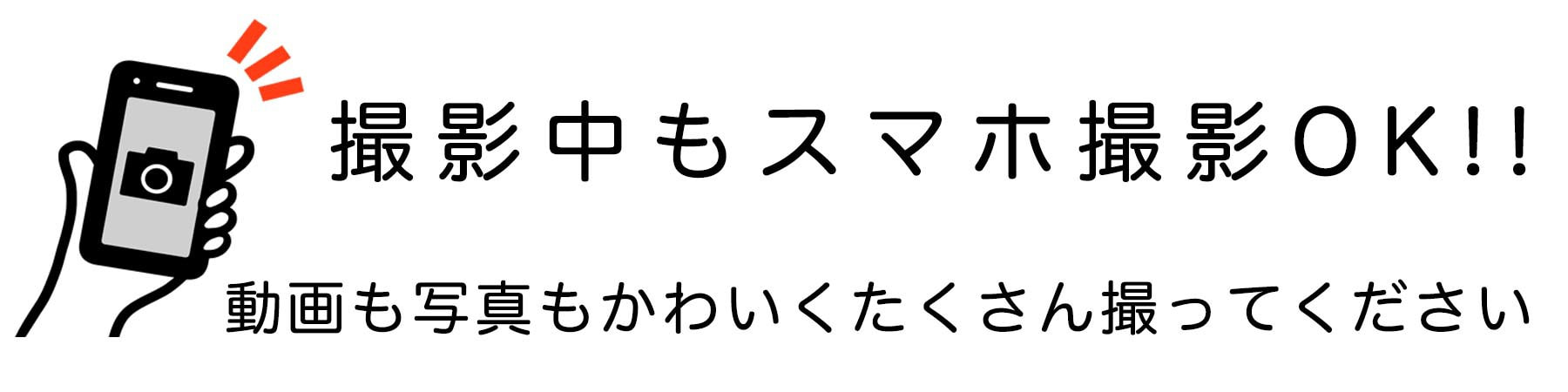 スタジオ内撮影OK