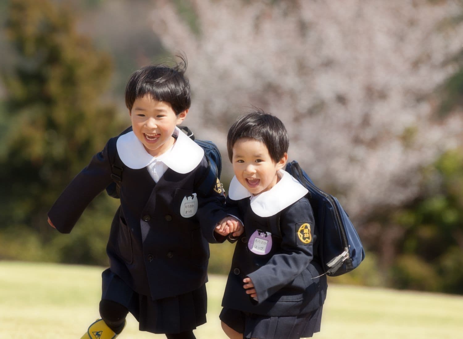 姉妹の入園写真
